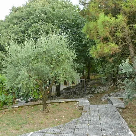 Village Of Peace - House 38 Apartment Shkoder